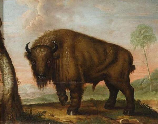 unknow artist Wisent Germany oil painting art